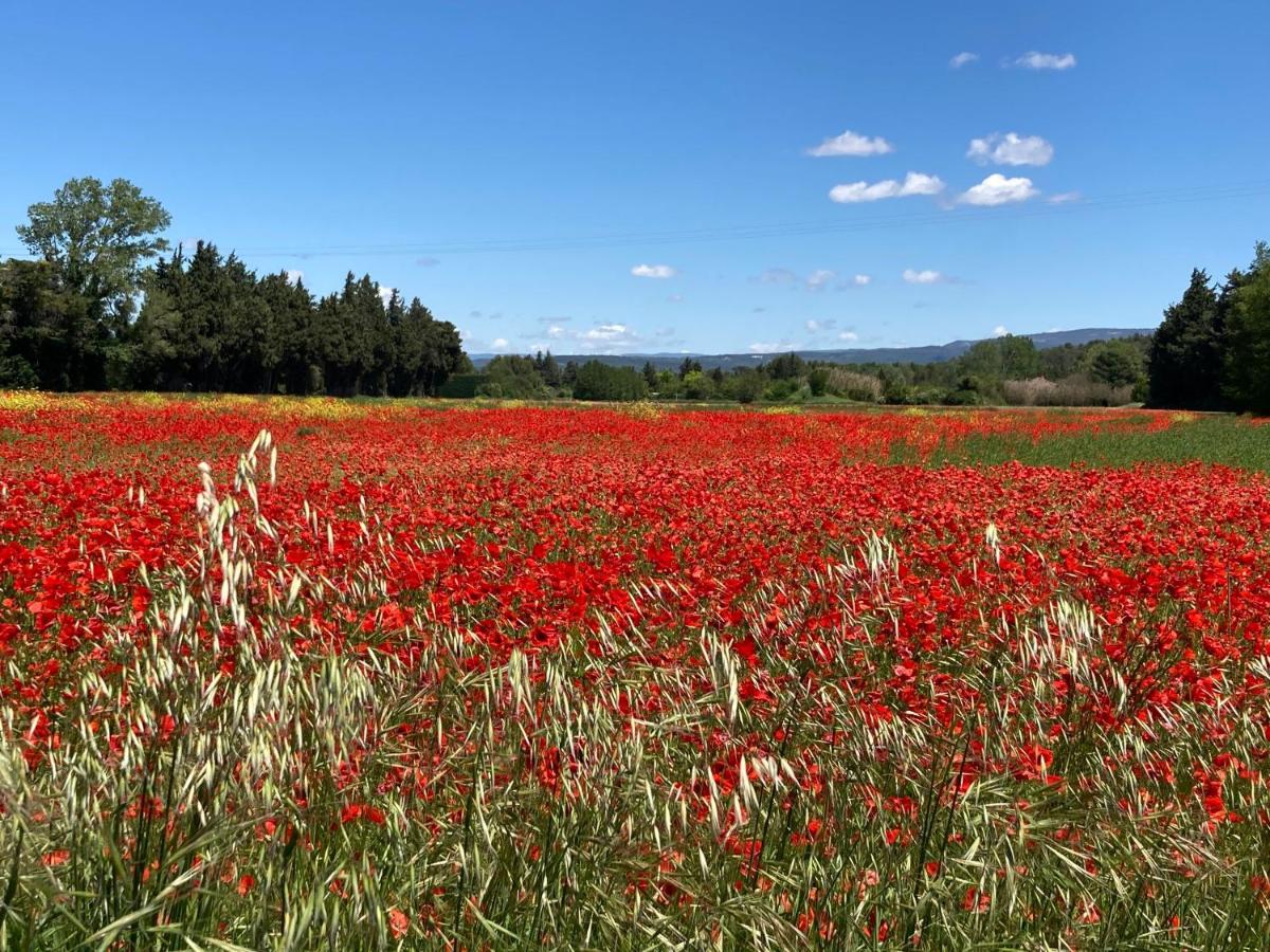 LʼIsle-sur-la-Sorgue Ilot Coquelicot - Parking Gratuit Securise - Ac Clim - Ascenseur - Balcon 아파트 외부 사진